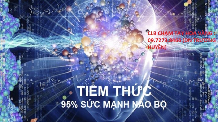 CLB CHẠM TAY HOA VÀNG : 09.7273.8466 (DN TRƯƠNG HUYỀN)